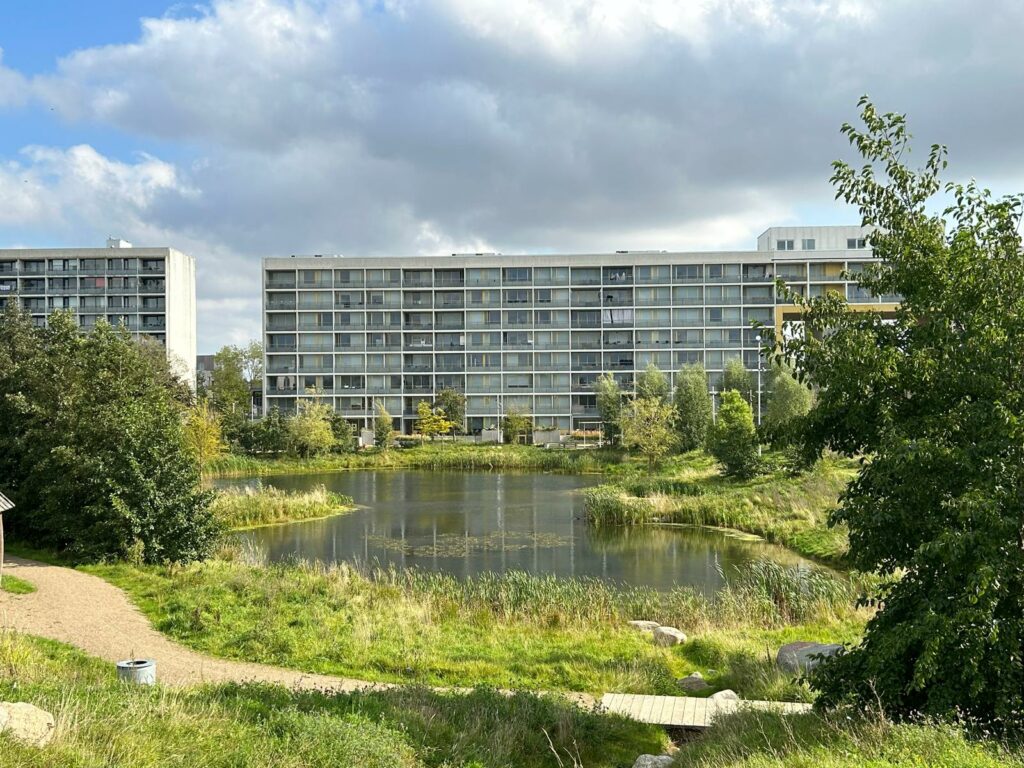 Rain pond in front a block of flats in Risvangen.