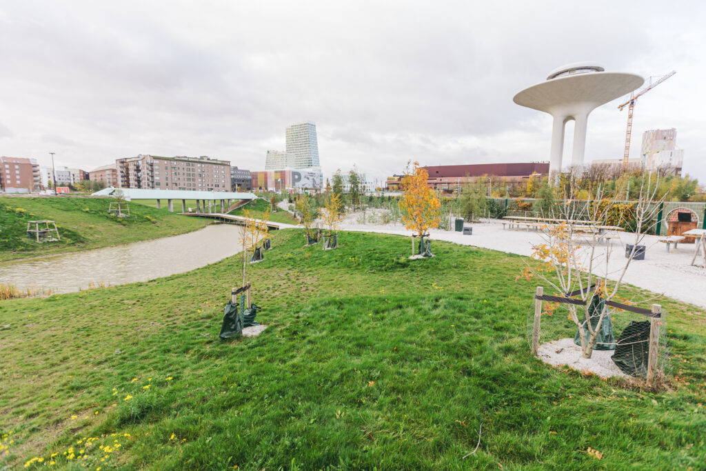 A park on a cloudy day.