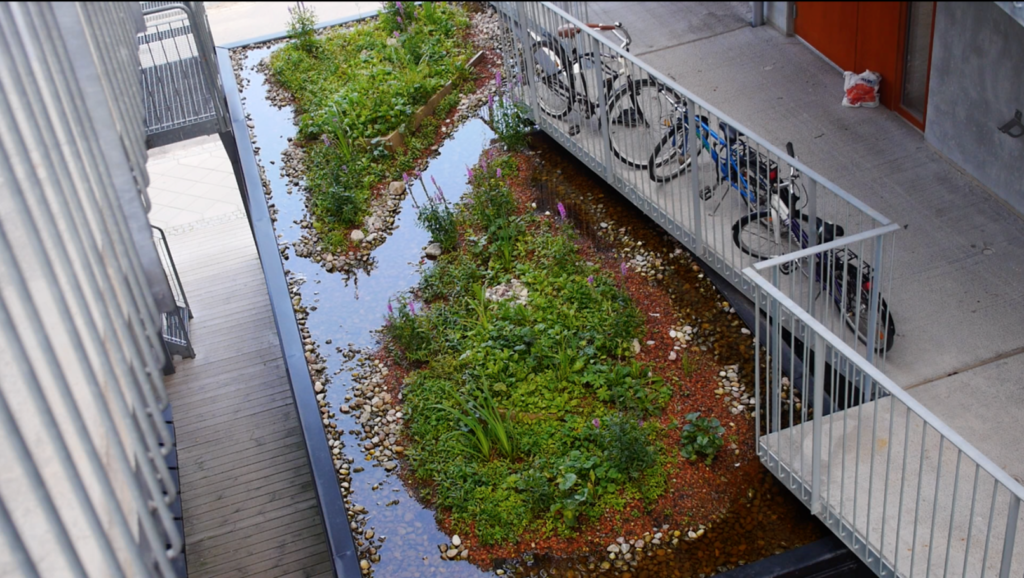 Green roof in Malmö.