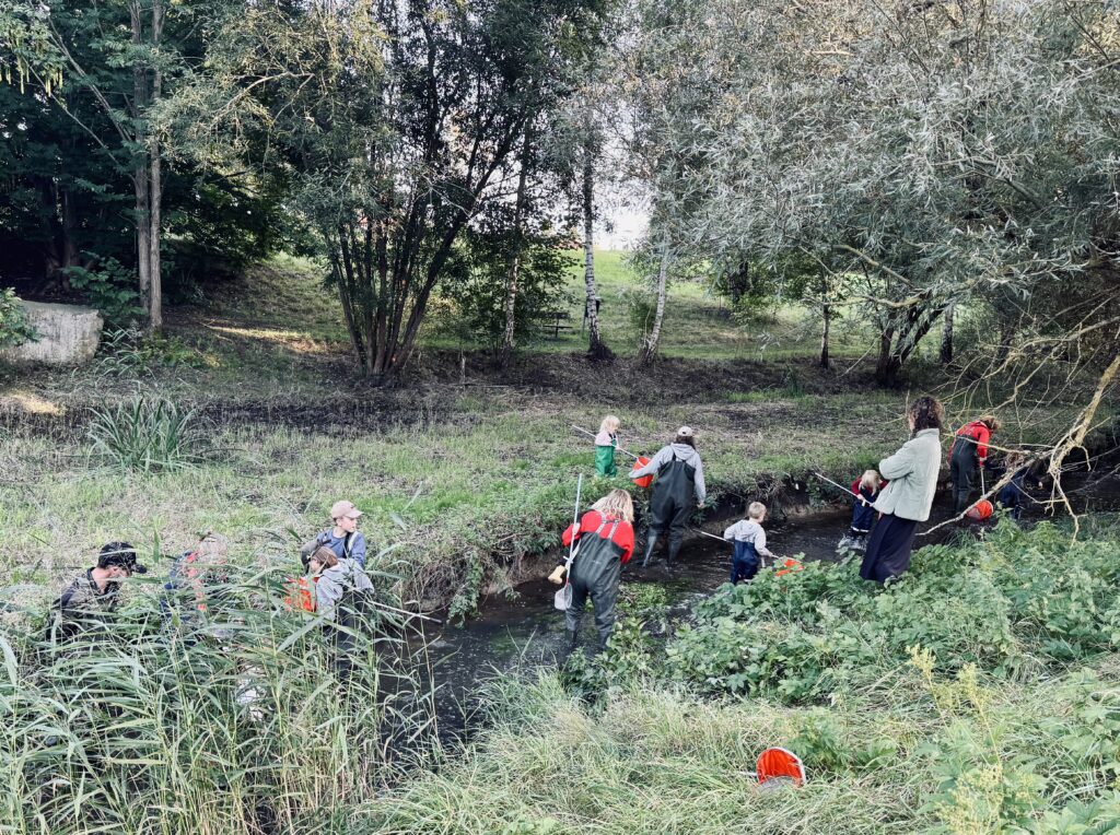 Residents electrofishing in a stream in Malmö.