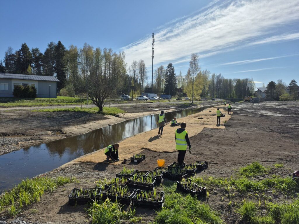 People in yellow vests planting seedlings in sunshine along a stream.