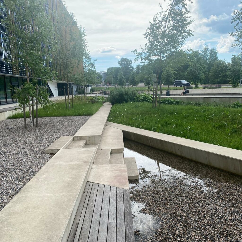A modern infiltration pond with some water in it in summer surrounded by young trees.