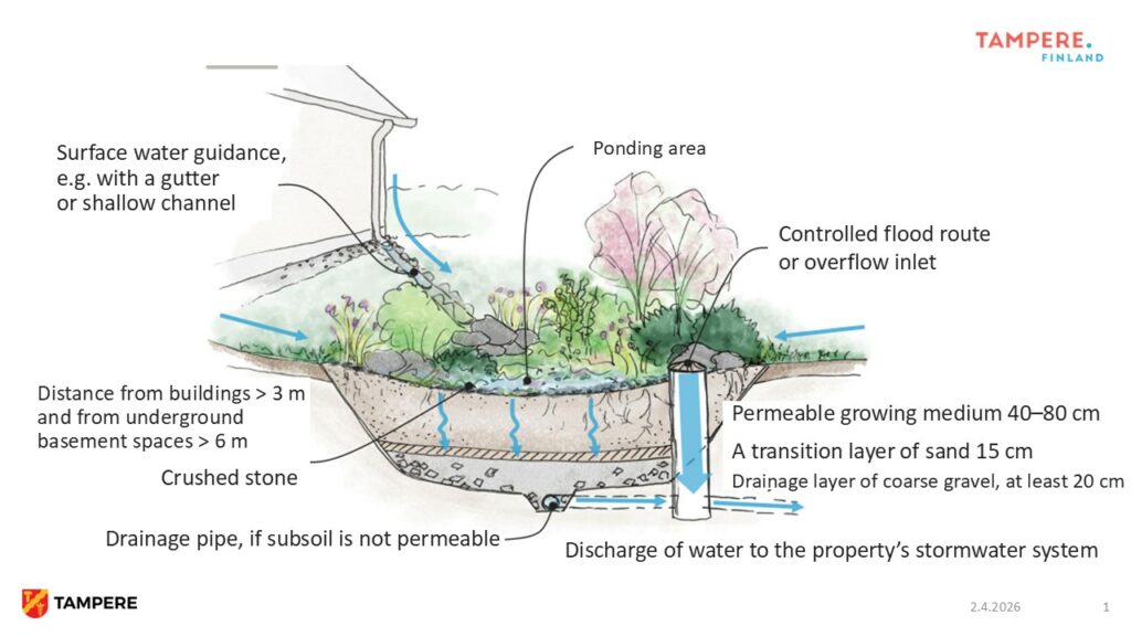 An illustration of a conceptual design for a rain garden.