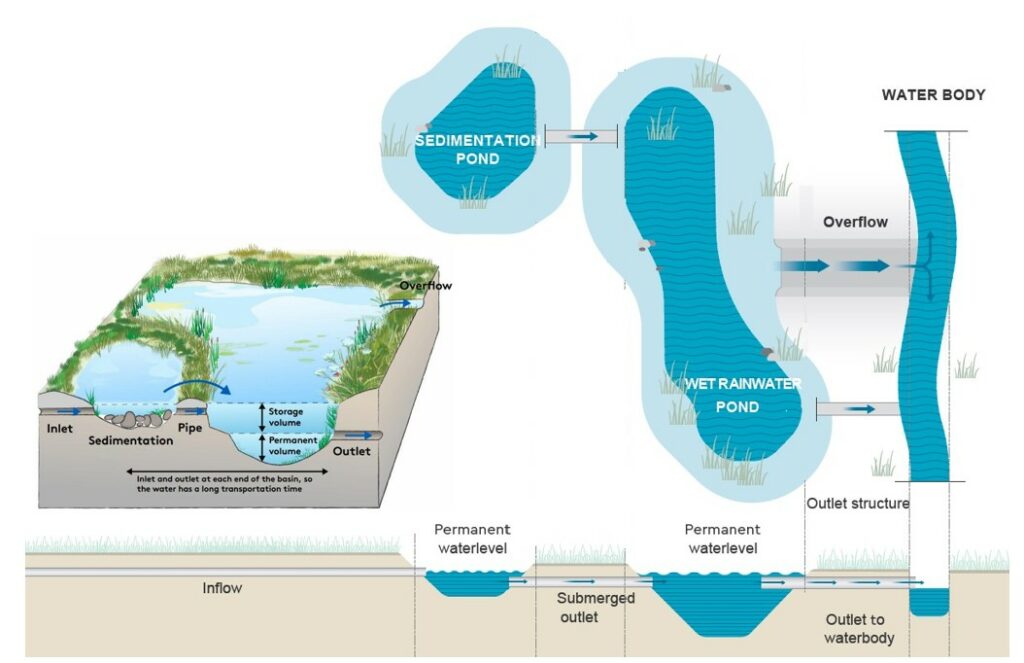 Design picture of a rainwater harvesting pond.